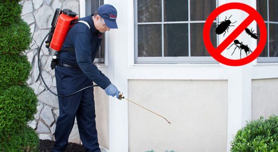 Pütürge Bit İlaçlama böcek ilaçlama ve haşere kontrolü — ilaclama-tr.com